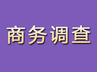 兴国商务调查